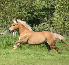 fliegender Wechsel