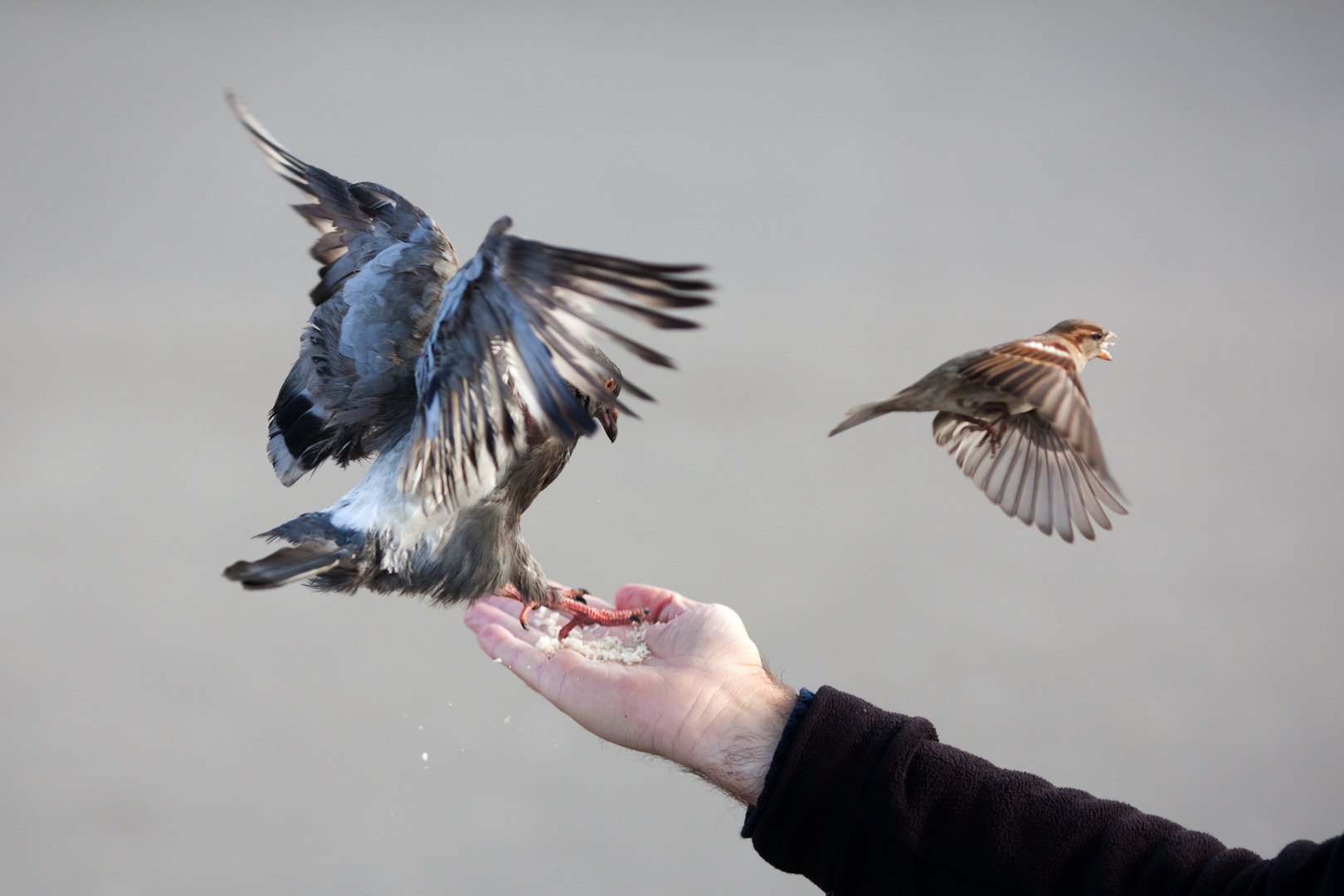 fliegender Wechsel