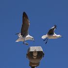 Fliegender Wechsel - Alles Gute zum Neuen Jahr.