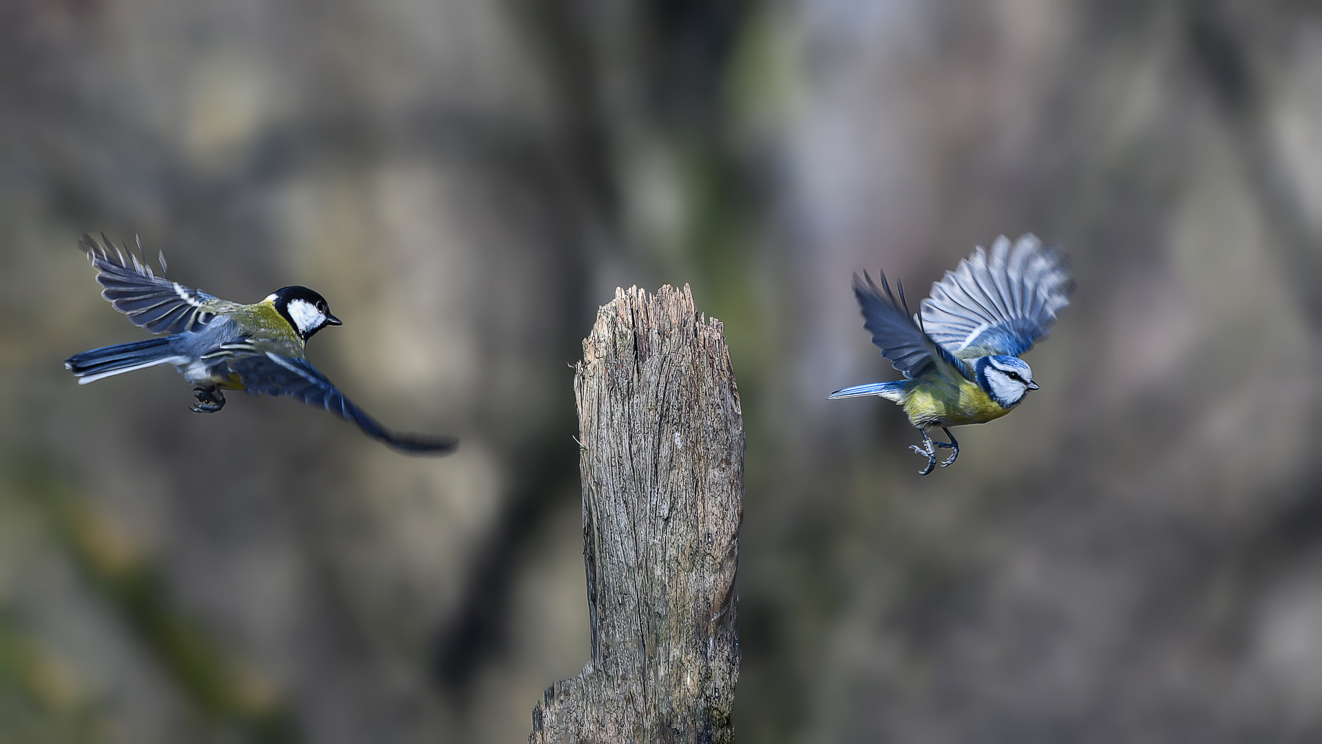 Fliegender Wechsel