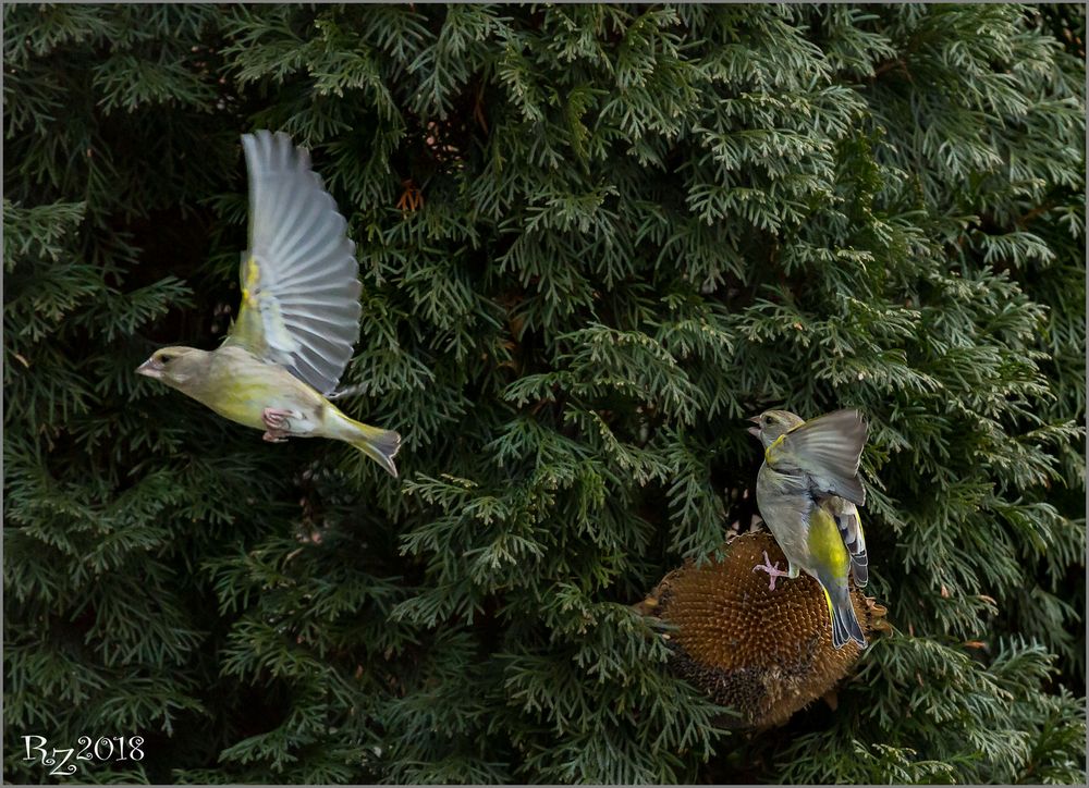 Fliegender Wechsel