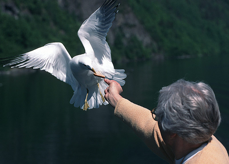 Fliegender Wechsel !