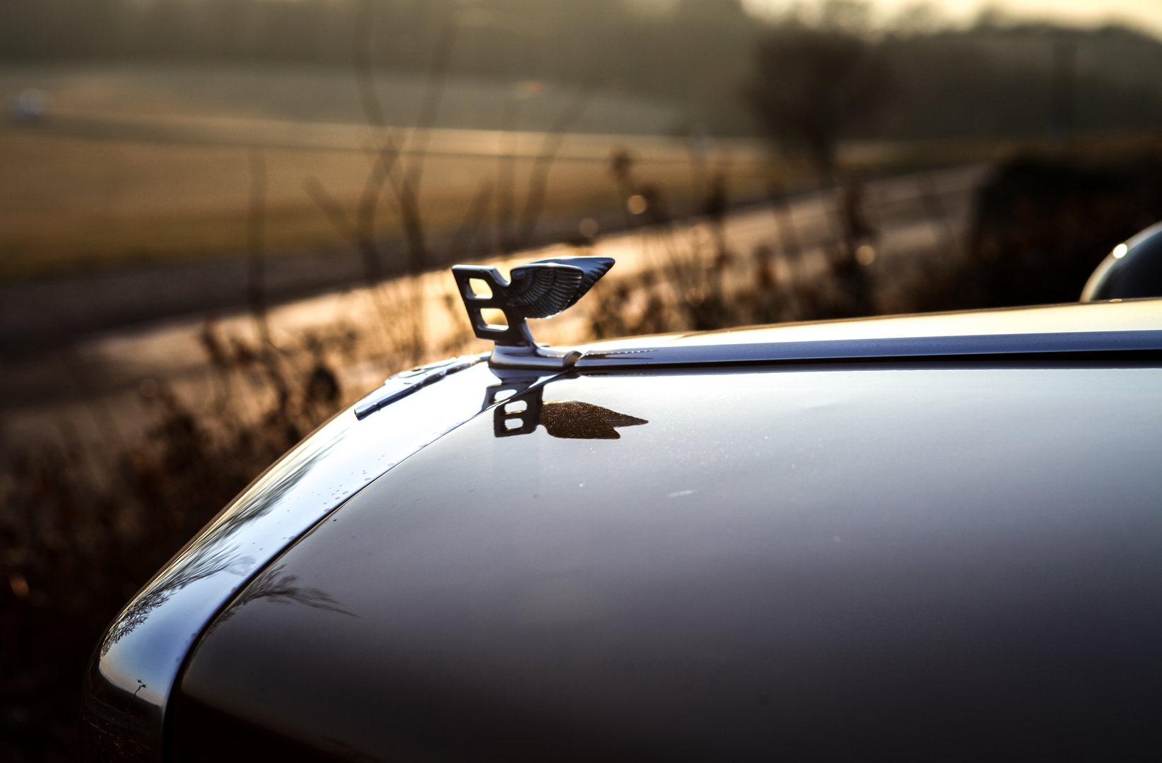 Fliegendes Bentley B im Sonnenuntergang