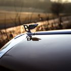 Fliegendes Bentley B im Sonnenuntergang
