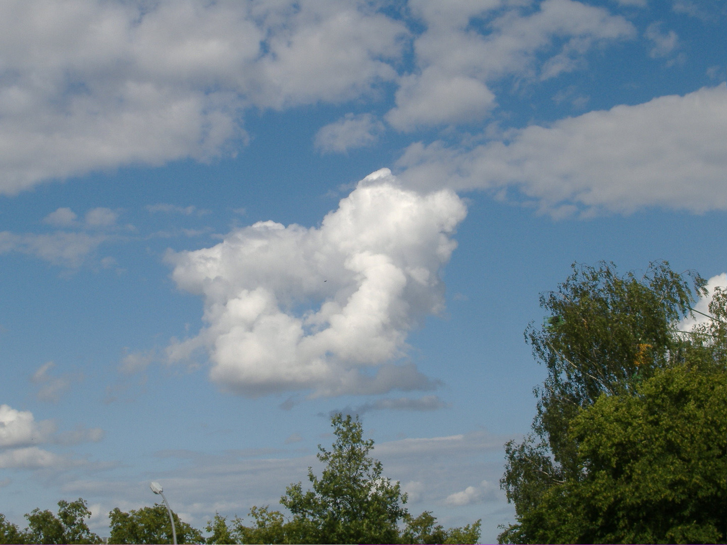 Fliegendes Ferkel