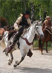 Fliegendes Pferd in Pullman City - Harz