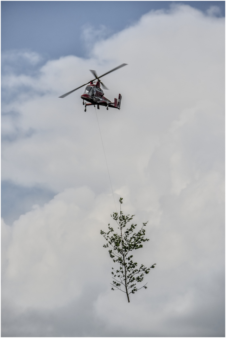 Fliegendes Rückepferd 