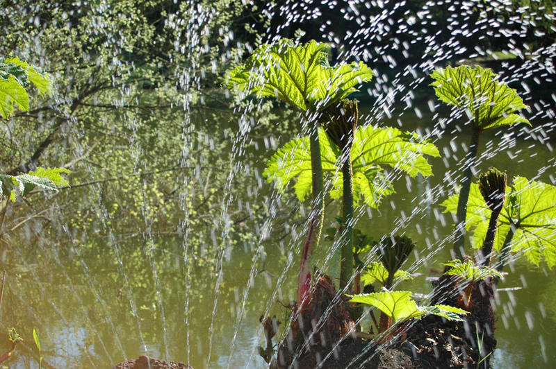 Fliegendes Wasser