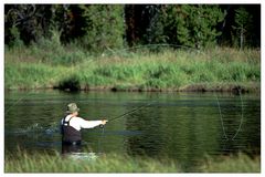 Fliegenfischen am Oxbow Bend