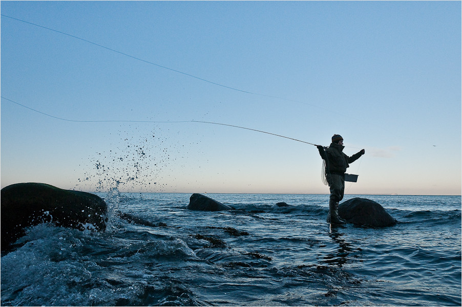 Fliegenfischen in der Ostseebrandung