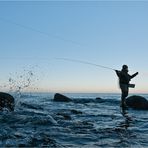 Fliegenfischen in der Ostseebrandung