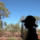 Fliegenplage beim Uluru