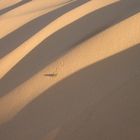 Fliegenspuren in der Sahara