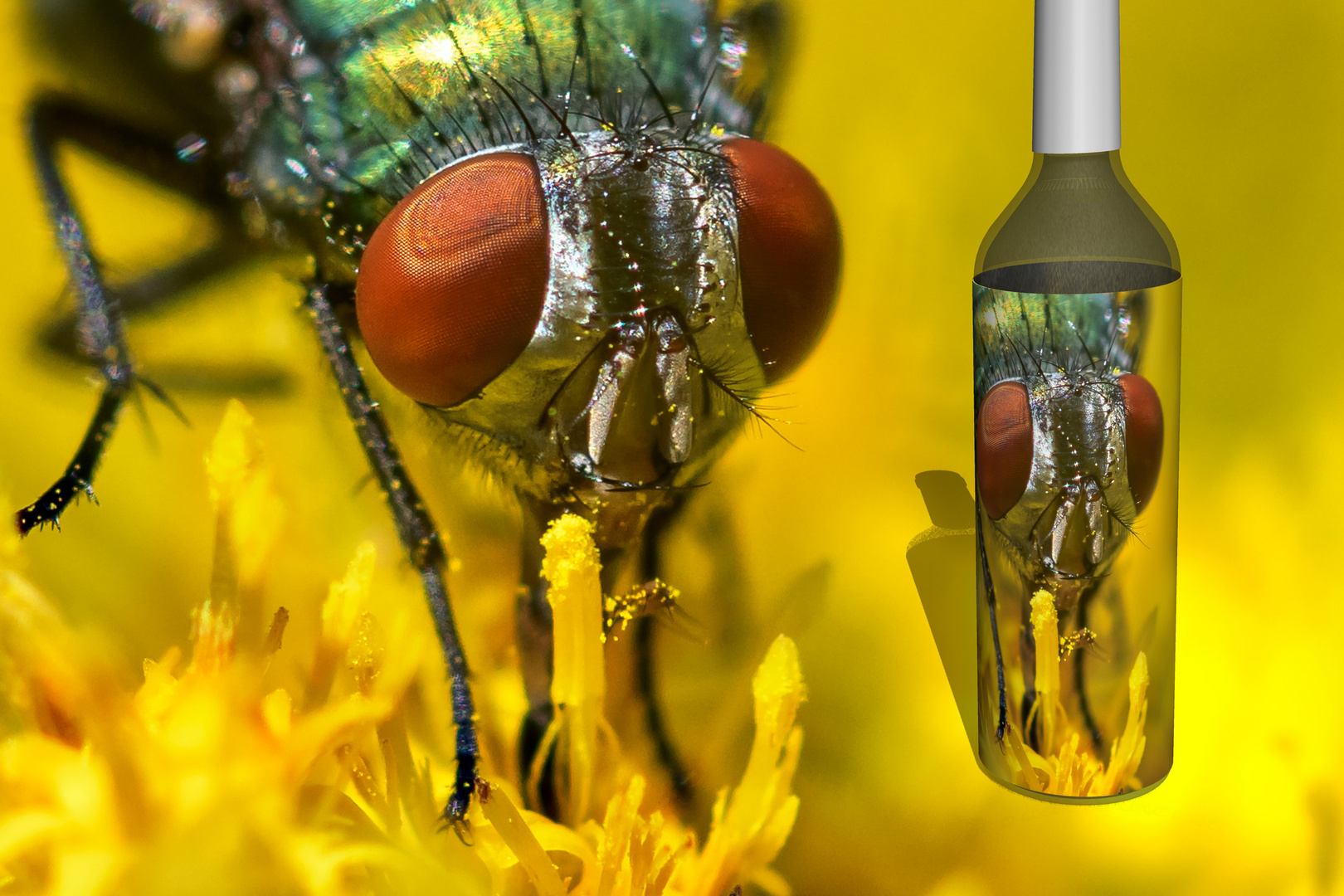 Fliegenwein, das besondere Tröpfchen für Kenner