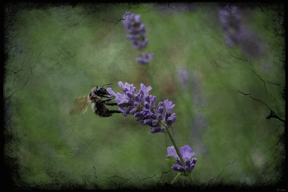 Flieger ;-)