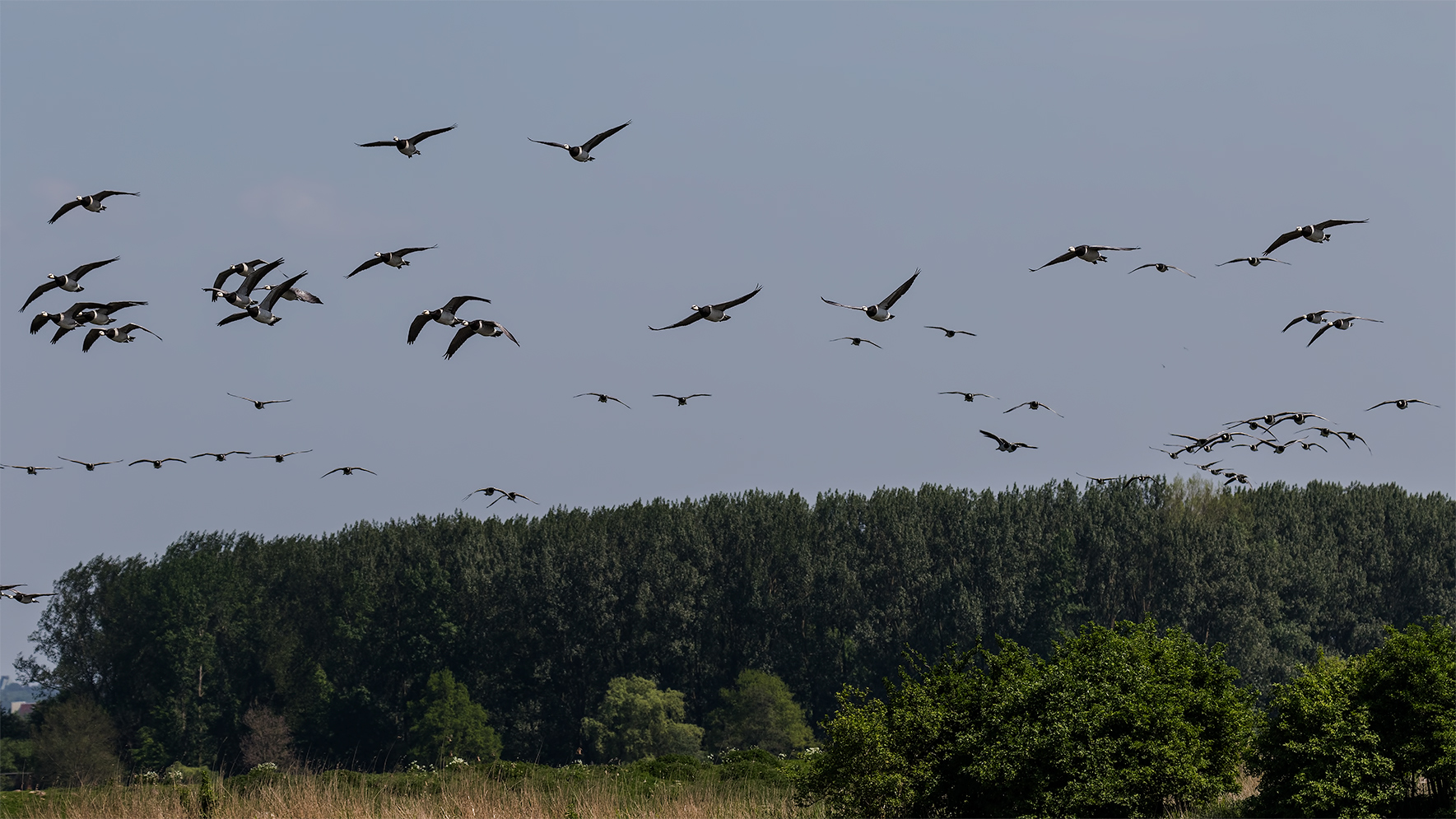 Flieger-Armada ...