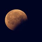 Flieger, grüß mir den Mond.... Blutmond vom 21.01.2019