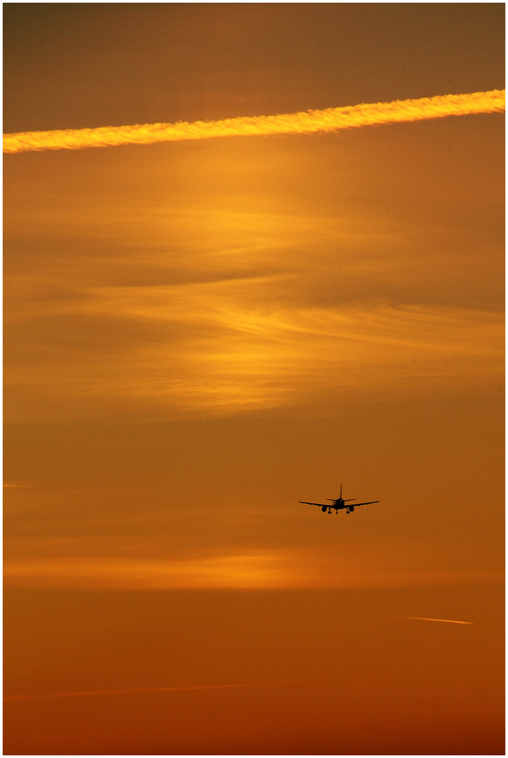 Flieger, grüß mir die Sonne