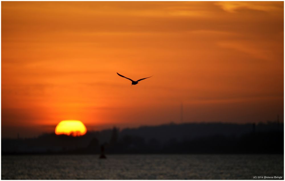 - Flieger, grüß mir die Sonne -