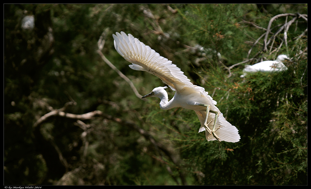 Flieger I