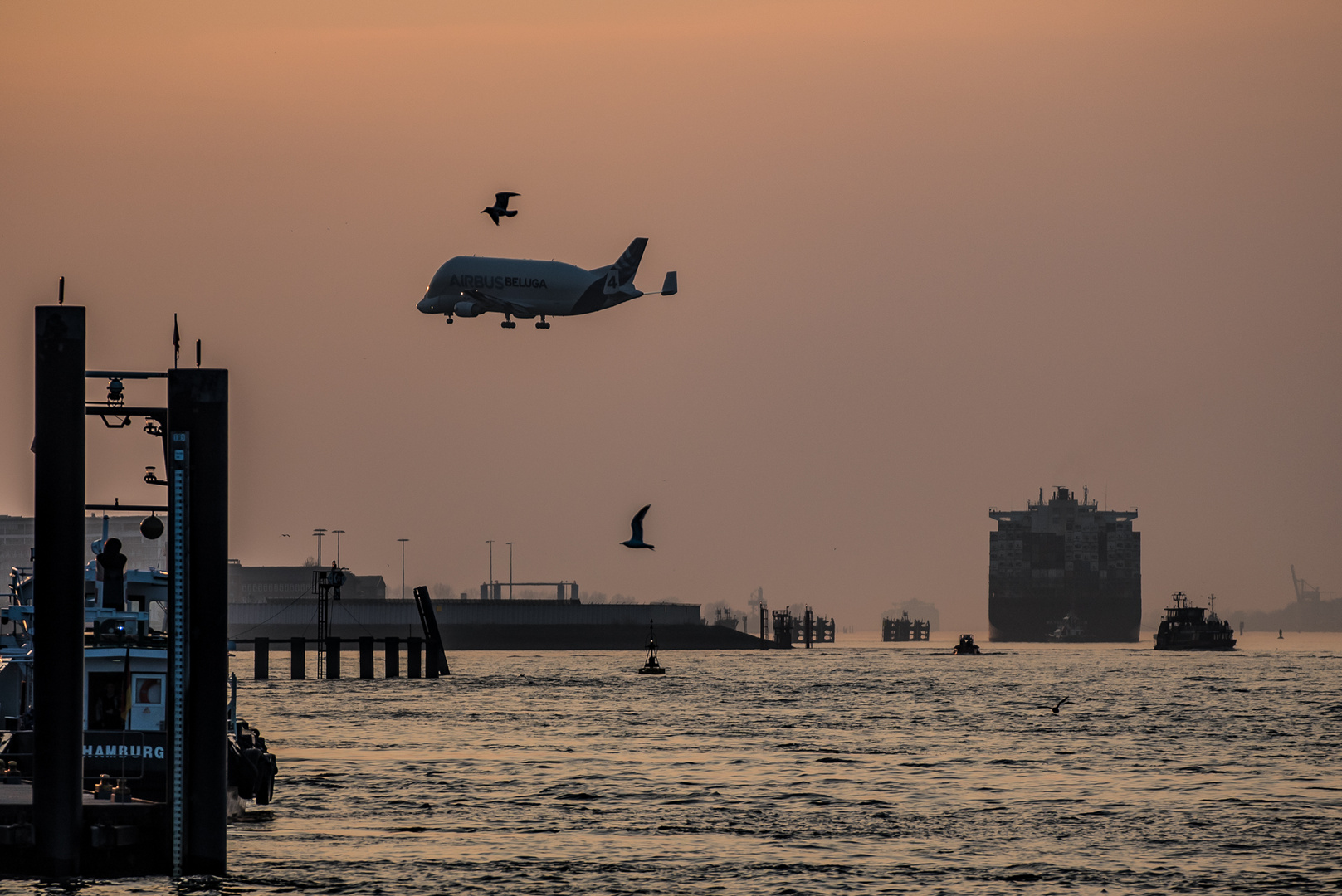 Flieger im Abendlicht