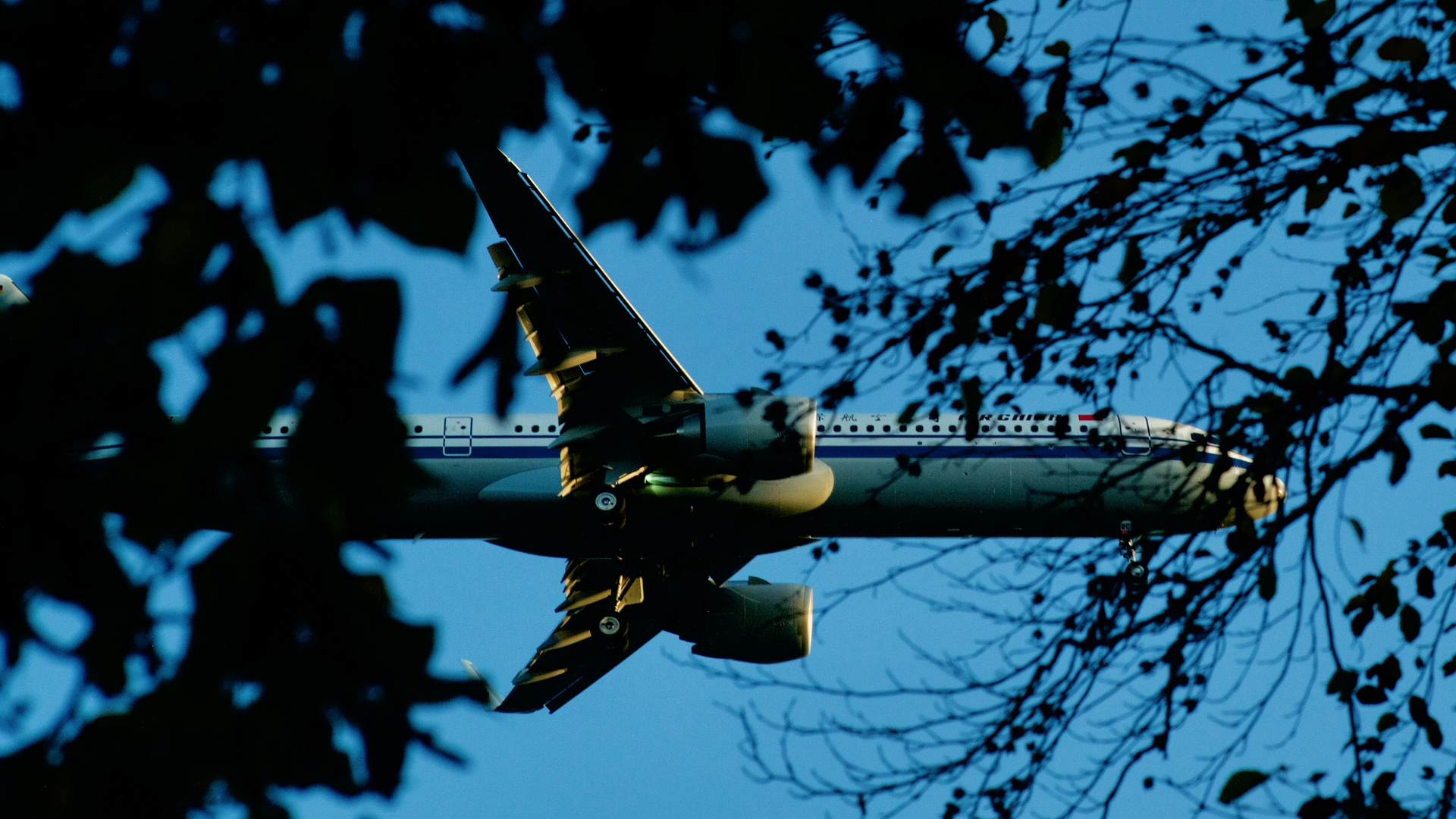 Flieger im Park