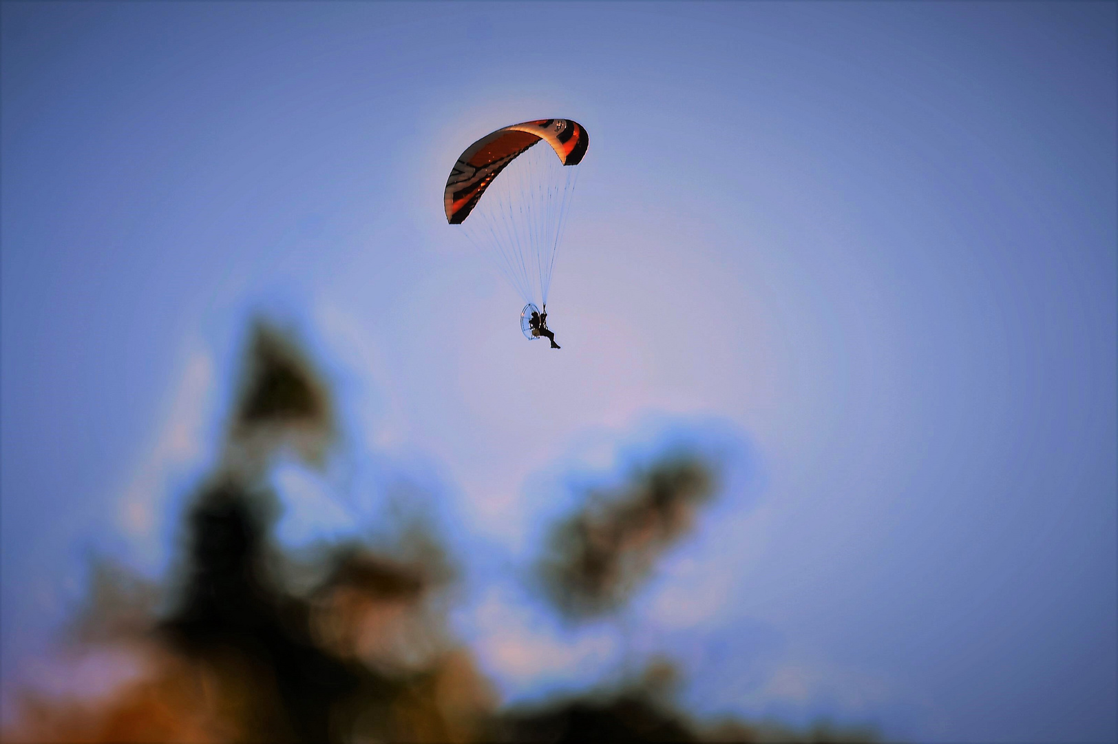 Flieger in der Abendsonne