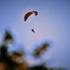 Flieger in der Abendsonne