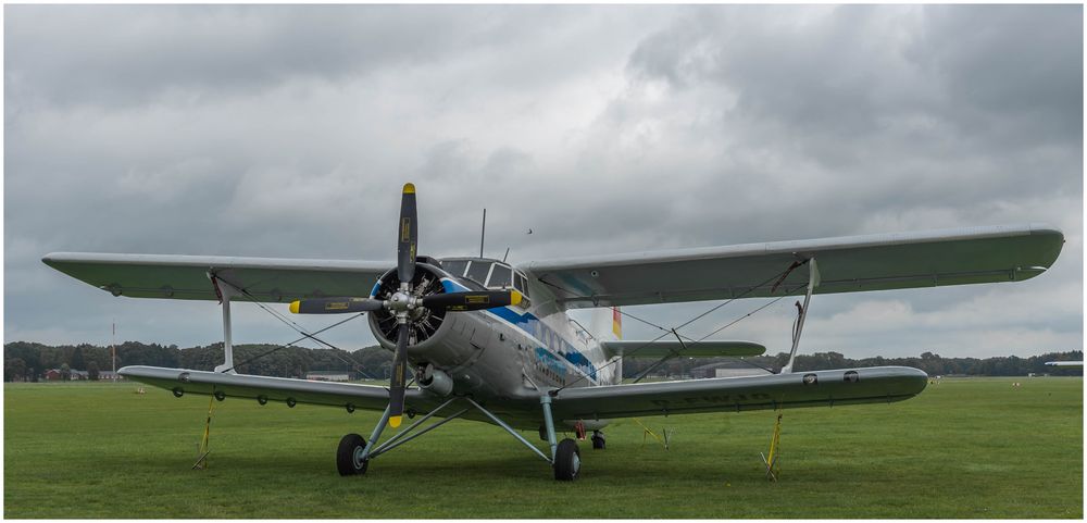 Flieger und Möwe