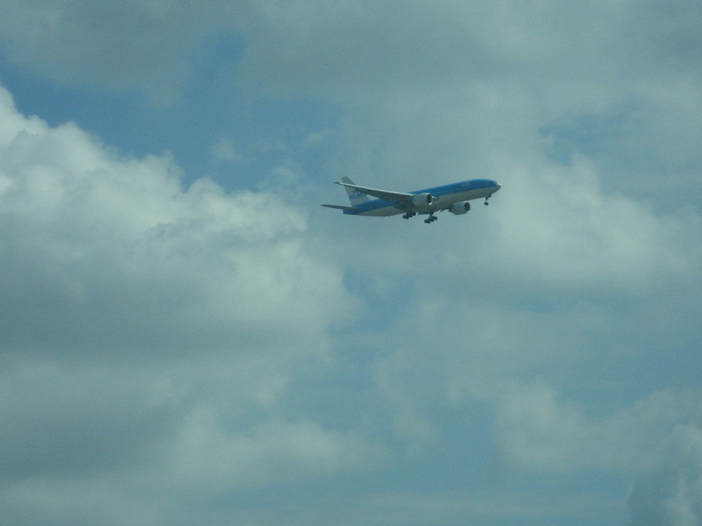 Flieger zur Landung in Amsderdam