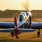 Fliegerromantik am Kornfeld