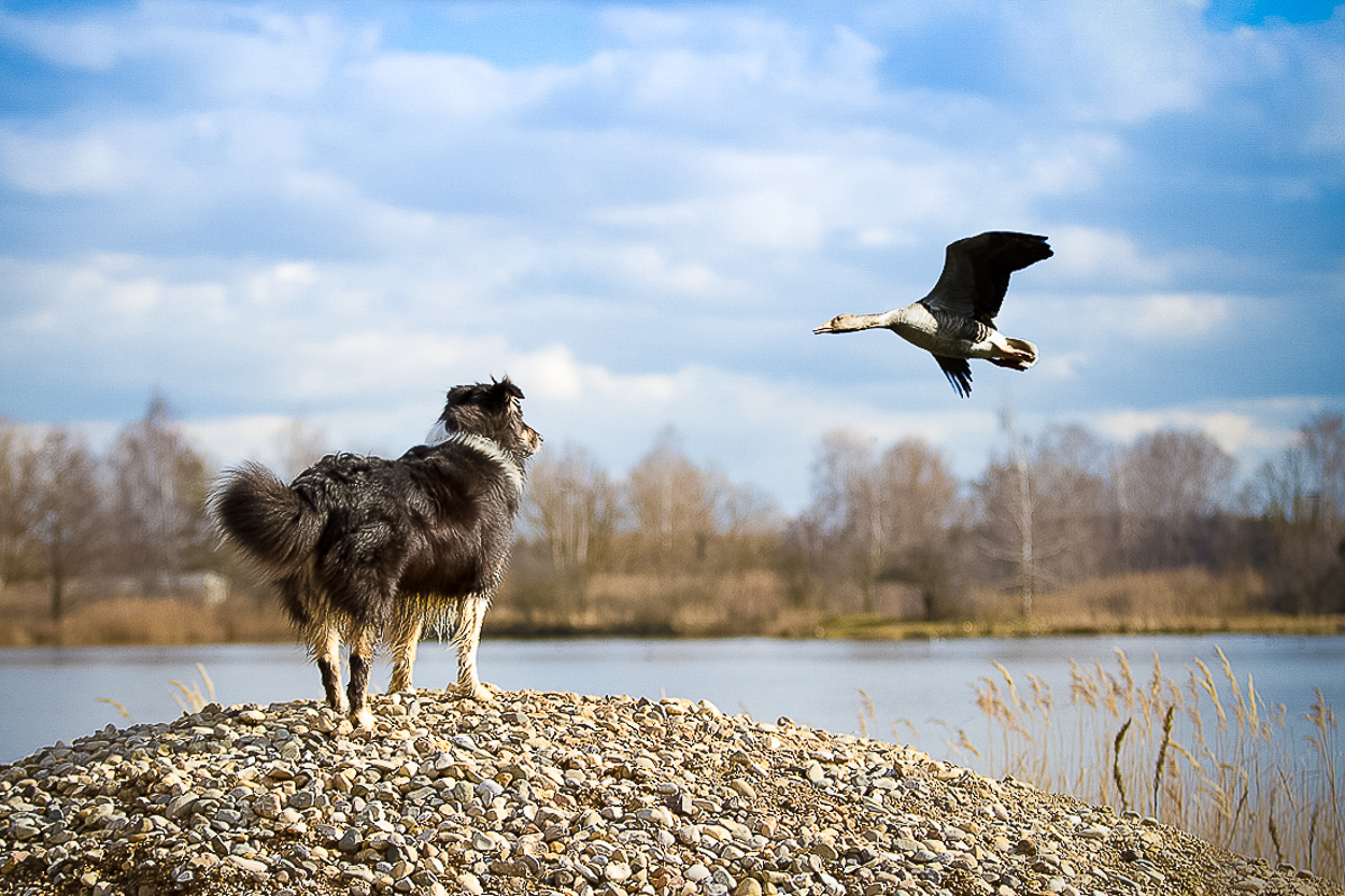 Fliegst Du mit mir?