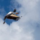 Fliegt die Deutsche Nationalmannschaft heute ins Finale oder nach Hause?