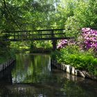 Fließ im Spreewald