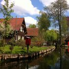 Fliess in Lehde Spreewald...