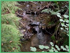 Fließend Wasser