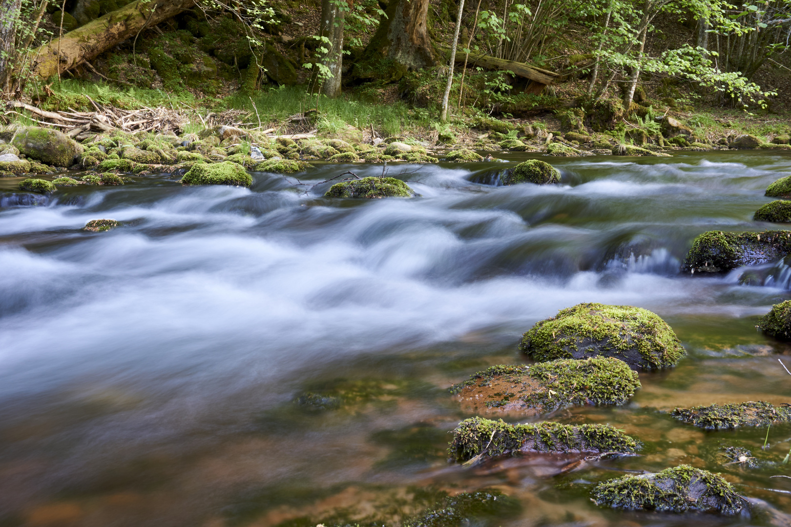 Fließend Wasser im Frühling