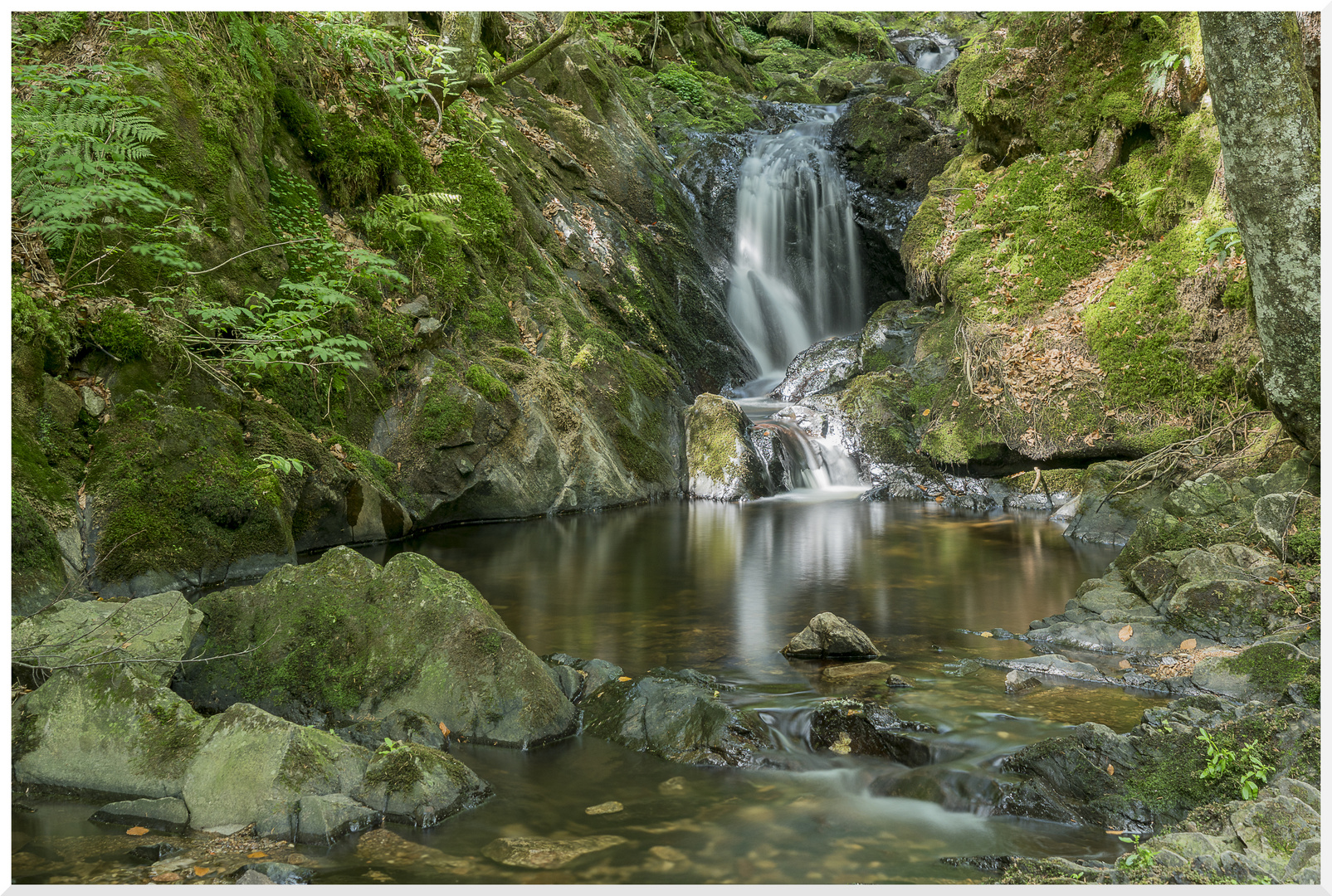 Fließende Wasser (Menzenschwander-Geißenpfad)