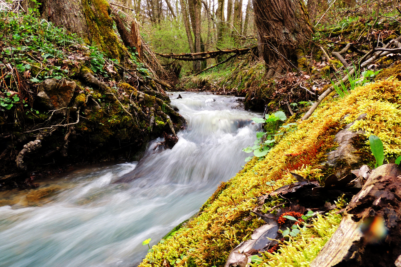 Fließender Fluss