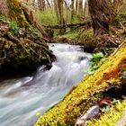 Fließender Fluss