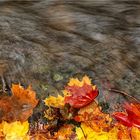 Fließender Herbst