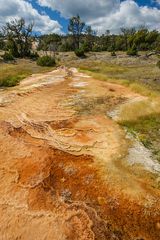 Fliessendes Gold im Yellowstone NP