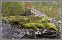 fließendes grün