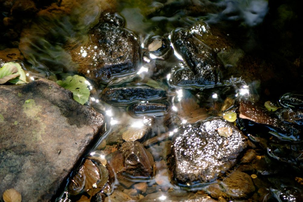 Fliessendes Wasser erzählt Geschichten