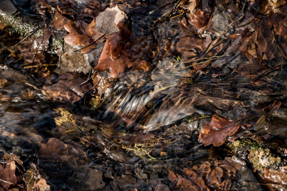 Fliessendes Wasser erzählt Geschichten