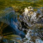 Fließendes Wasser erzählt Geschichten !