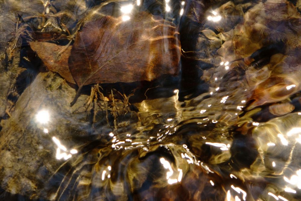 Fliessendes Wasser erzählt Geschichten