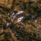 Fliessendes Wasser erzählt Geschichten