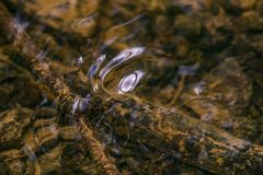 Fliessendes Wasser erzählt Geschichten