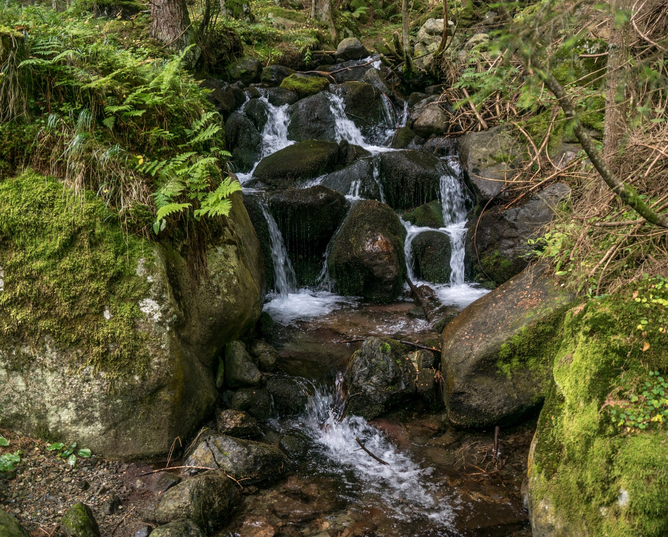 Fliessendes Wasser erzählt Geschichten